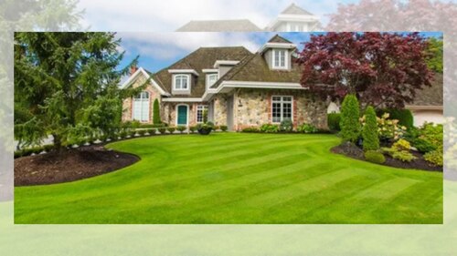 Landscape Ideas North Florida